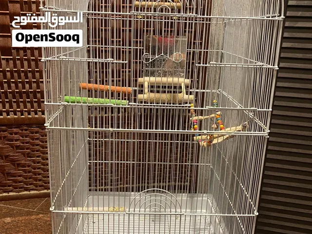 قفص جميع أنواع طيور
