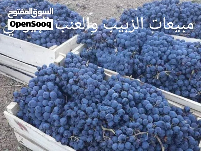 مبيعات مضمونة للتمور والزعفران والزبيب الإيراني عالي الجودة إلى العراق وتركيا ودبي والمملكة العربية