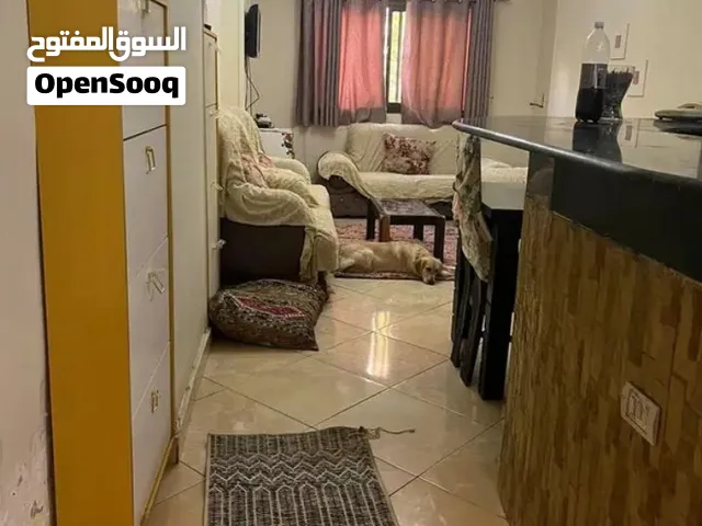 للايجار شقه مفروشه بمصر الجديده