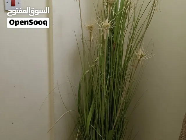 شجرة زينة صناعي من هوم سنتر