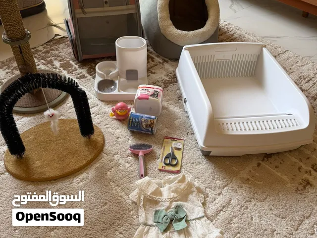 اغراض قطة بحالة ممتازة