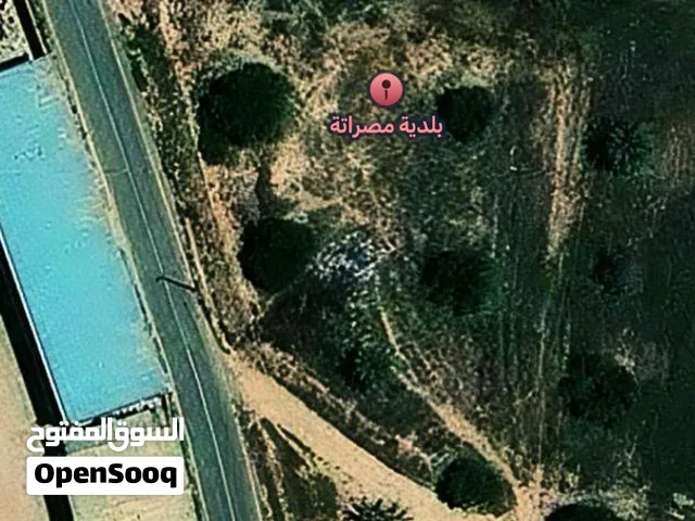 سلام عليكم اقرأ وصف ضروري