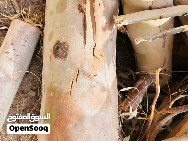 السلام عليكم ورحمة الله وبركاته عندي قرم سرول للبيع