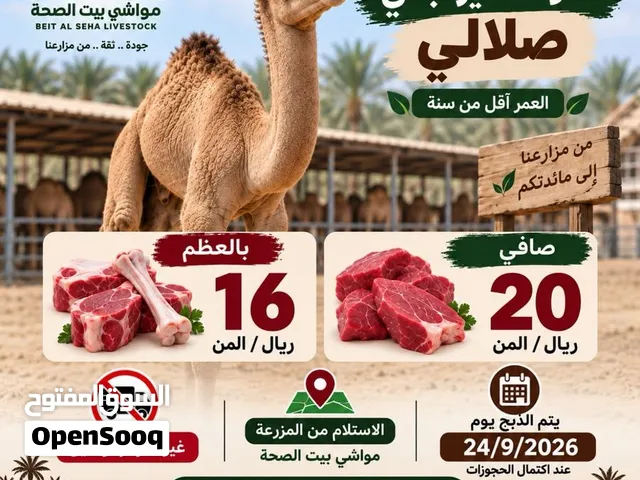 لح م بيت الصحة بركاء الهرم خلف اسواق التنيين