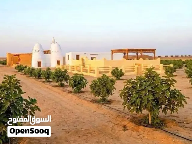 Mixed Use Land for Sale in Fayoum New Fayoum