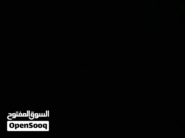 جنين .. دوار الداخليه