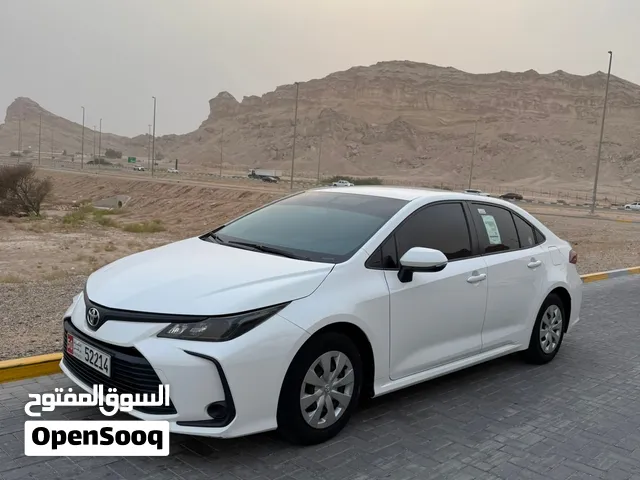 كورلا 2023/5 مالك اول الفطيم ملبسه علي قراطيس الوكاله صبغة الوكاله بالكامل