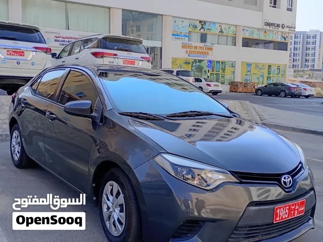 Toyota Corolla  For rent mixed of luxury and economy  fuel consumption