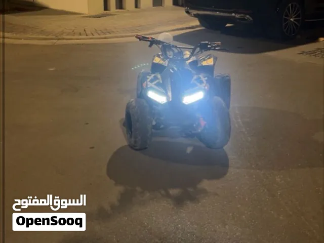 للبيع دراجه رباعيه شحن حجم وسط سرعه 60 تتحمل وزن 100 كيلو تقطع مسافه 50 كيلو مع كامل ملحقاته