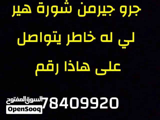 جرو جيرمن شورت هير اقرا الوصف