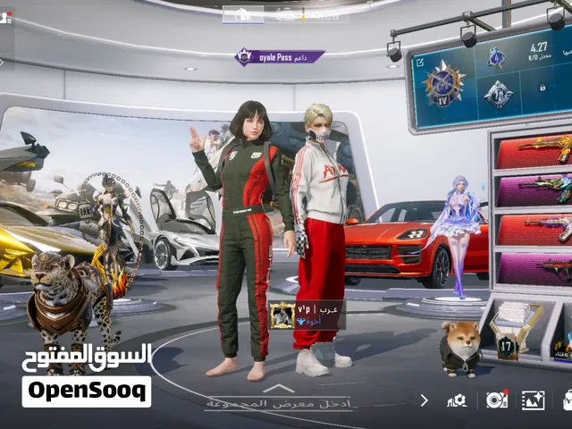 Pubg Accounts and Characters for Sale in Tabuk