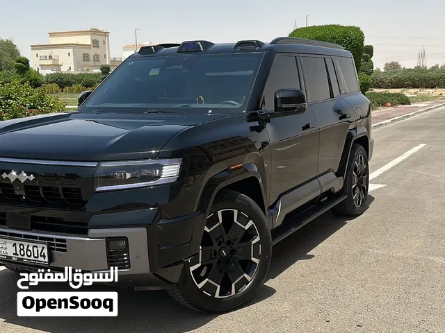 2025 بي واي دي ليوبارد 8