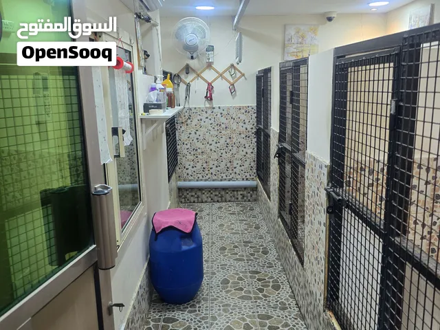 يوجد فندقة للكلاب بأسعار مناسبة