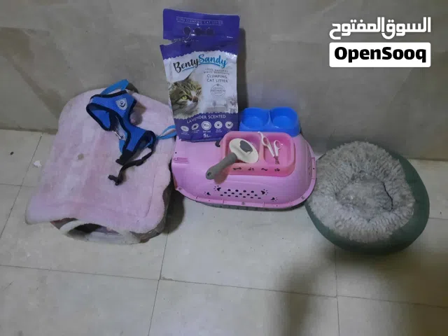 مستلزمات قطط للجنسين