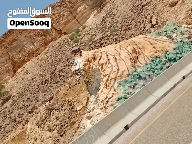 اللبيع 2500في ليخه خيط 30 قطع 5مطلوب ف ليخه 280ريال بروحهن ليخه