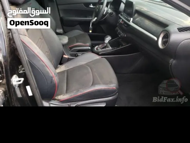 كلشي كو بسوق