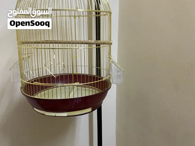 قفص عصفور نظيف