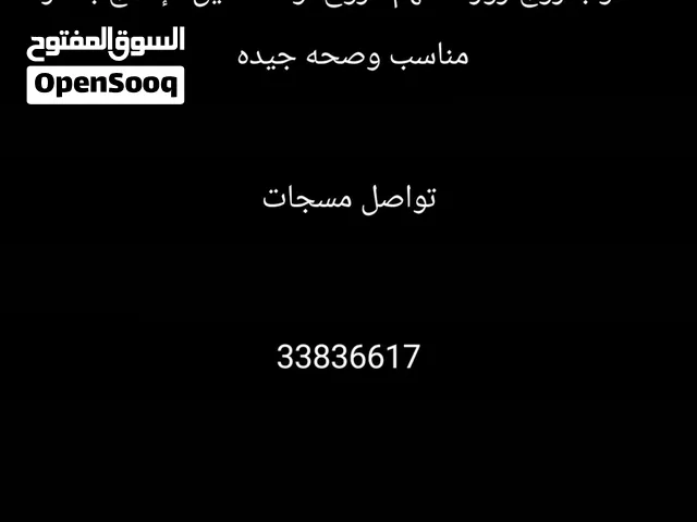 فصل روز الوان جميله