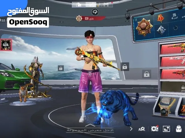 Pubg Accounts and Characters for Sale in Nablus