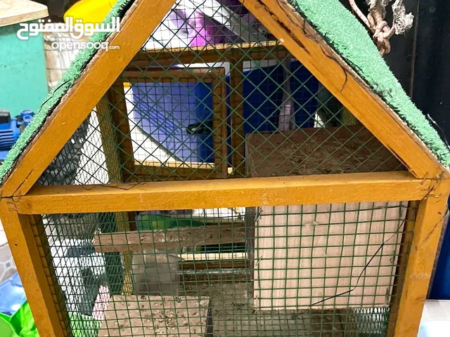 قفص عصافير