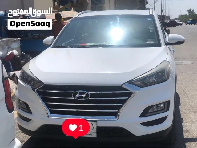 توسان خليجي 2019 ابيض شركة الكاصد