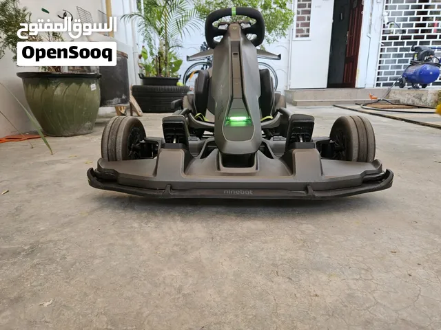 Ninebot go kart
