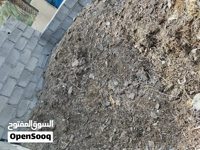 سماد دروس بقر نظيف