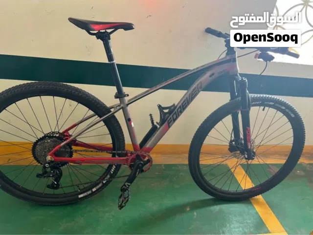 Forever  mountain bike