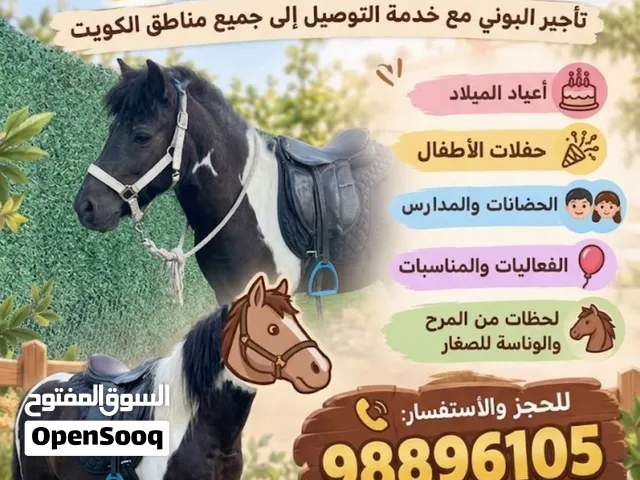 إيجار بوني