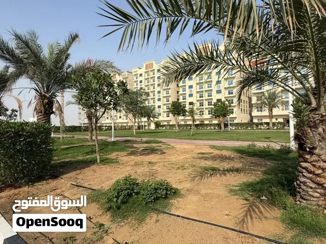 استوديو استلام فوري بأقل مقدم وأعلى عائد استثماري