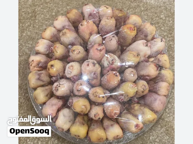 طيور الدخل منتف منضف