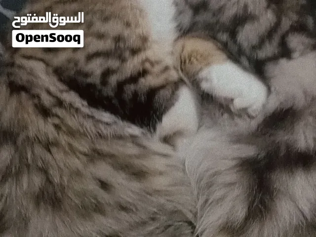 وشخص يخاف الله فيها