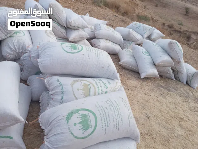 موجود تبن قمح للبيع