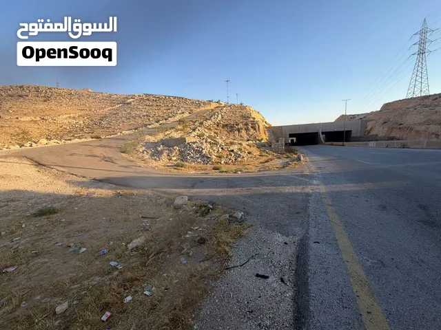 ارض على شارع ال100 مباشره تصلح مزرعه او ملاعب بإطلالة خلابه