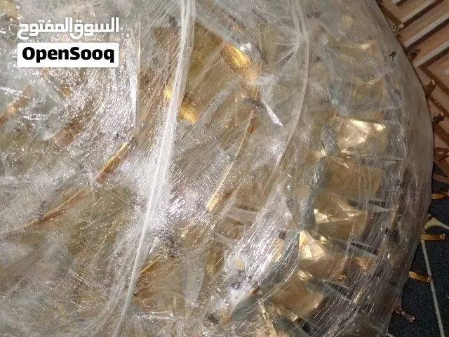 ثريا كريستال فاخرة مع ريموت (ألوان متعددة) بحالة الزيرو – بسعر 100 دينار للبيع العاجل