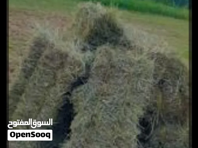 برايد حشيش للبيع صحم مجز الصغرى