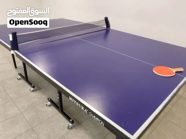 SKYLAND PING PONG TABLE