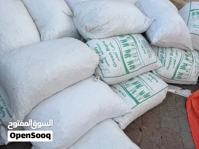 سح نفيعه جديد