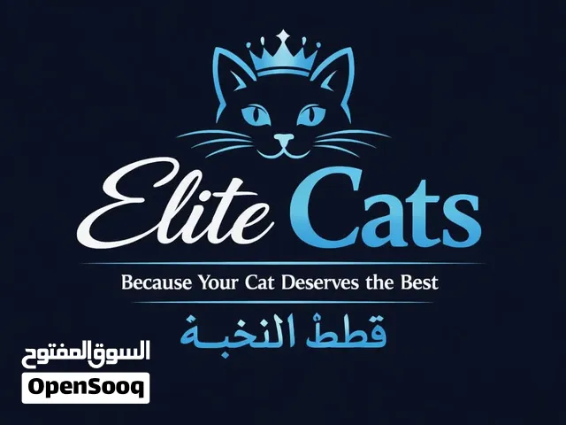 متجر قطط النخبه Dry food