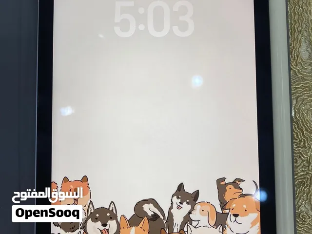 iPad mini 6 256GB WiFi+cellular
