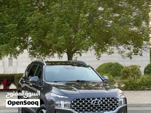 سنتافي 2023