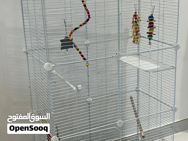 قفص عصافير كبير ابيض جميل