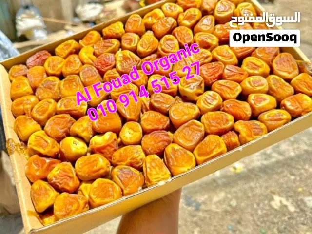 سكرى سعودى ملوكى القصيم