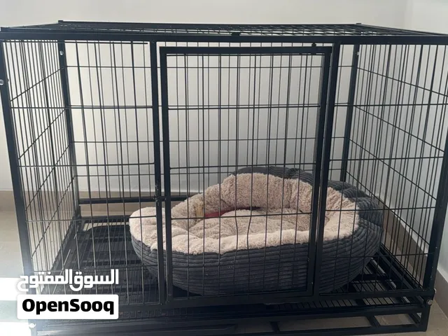 Dog Crate for sell   Large crate