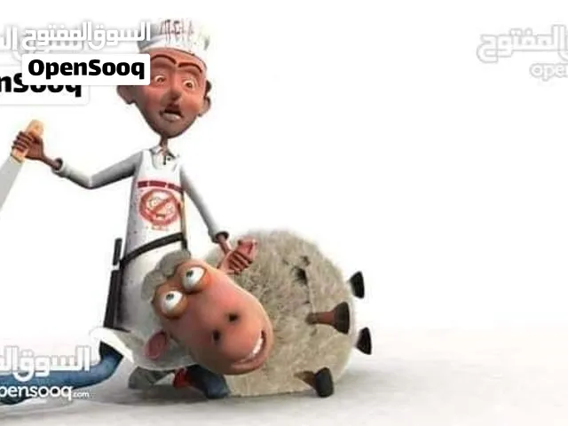 لحام جزار متفرغ دبح في المنازل في الزرقاء