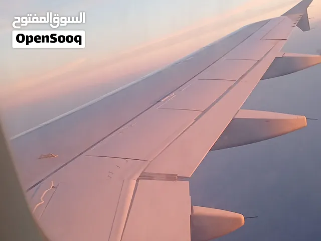 السلام عليكم متوفر زوز نتايات شيواوا للبيع يلعبو و يحبو الصغار و يمشو ماغير سلسله عمرهم شهرين