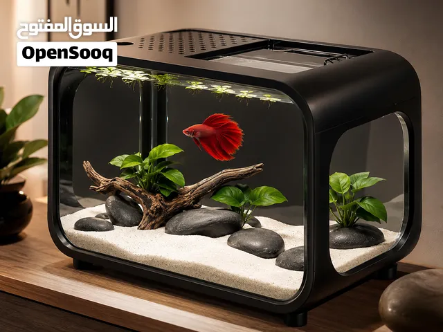 Black Modern Fish/Turtle Tank