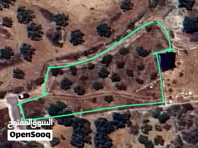 اجمل مناطق عصيرة الشمالية، طابو نابلس، كوشان مستقل وفرز رضائي، كل شخص يضع سنسال على حصته ويوجد ترخيص