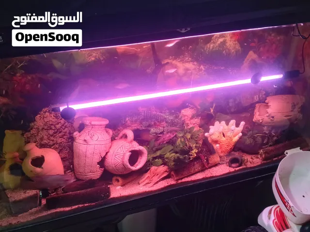 aquarium light (water resistant)