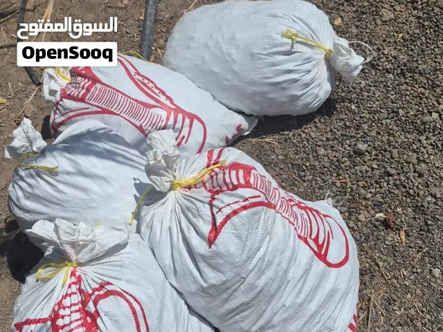 نفيه جبري وخصاب نضيف